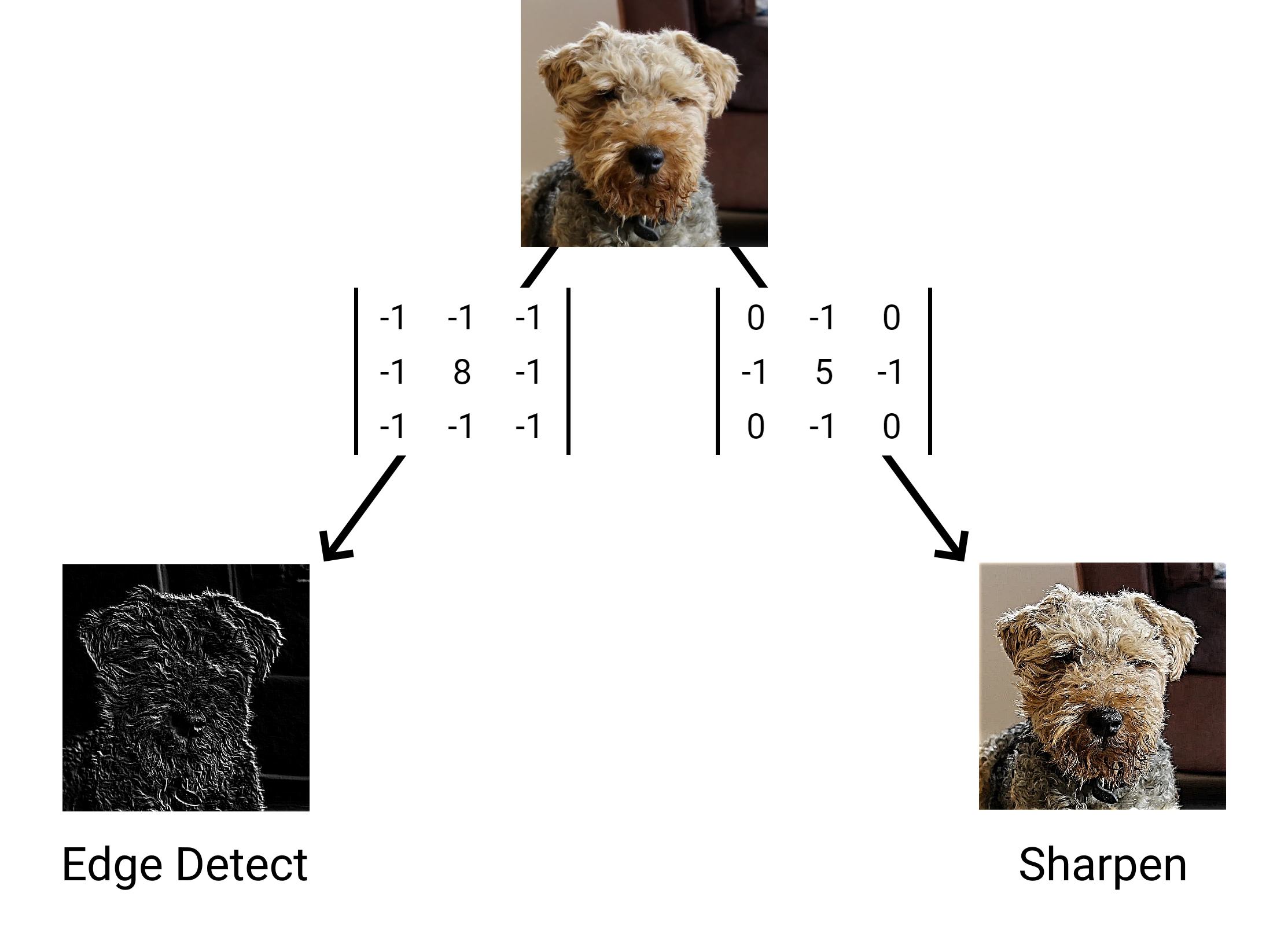 Edge detection and sharpen matrices convolving on an image of a sunflower