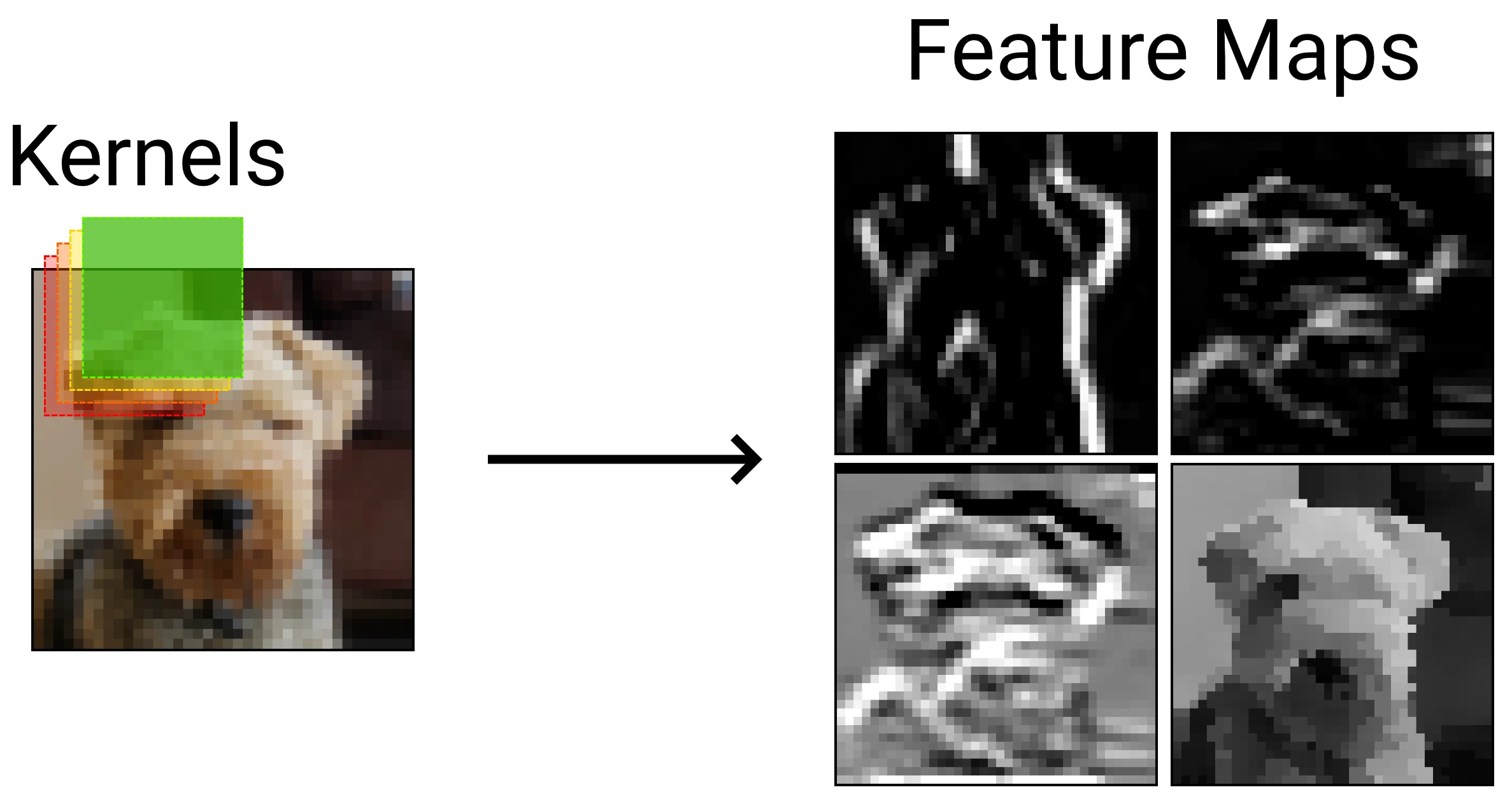Multiple kernels convolve over an input image to form feature maps