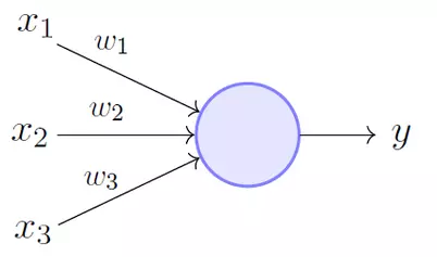 Cover for How to Build a Perceptron from Scratch
